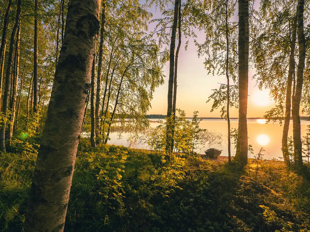 lake view during a sunset